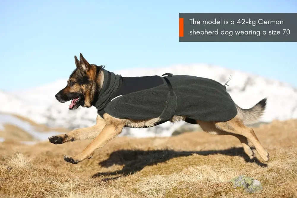 Dog Raincoat Fjord | Green/Grey