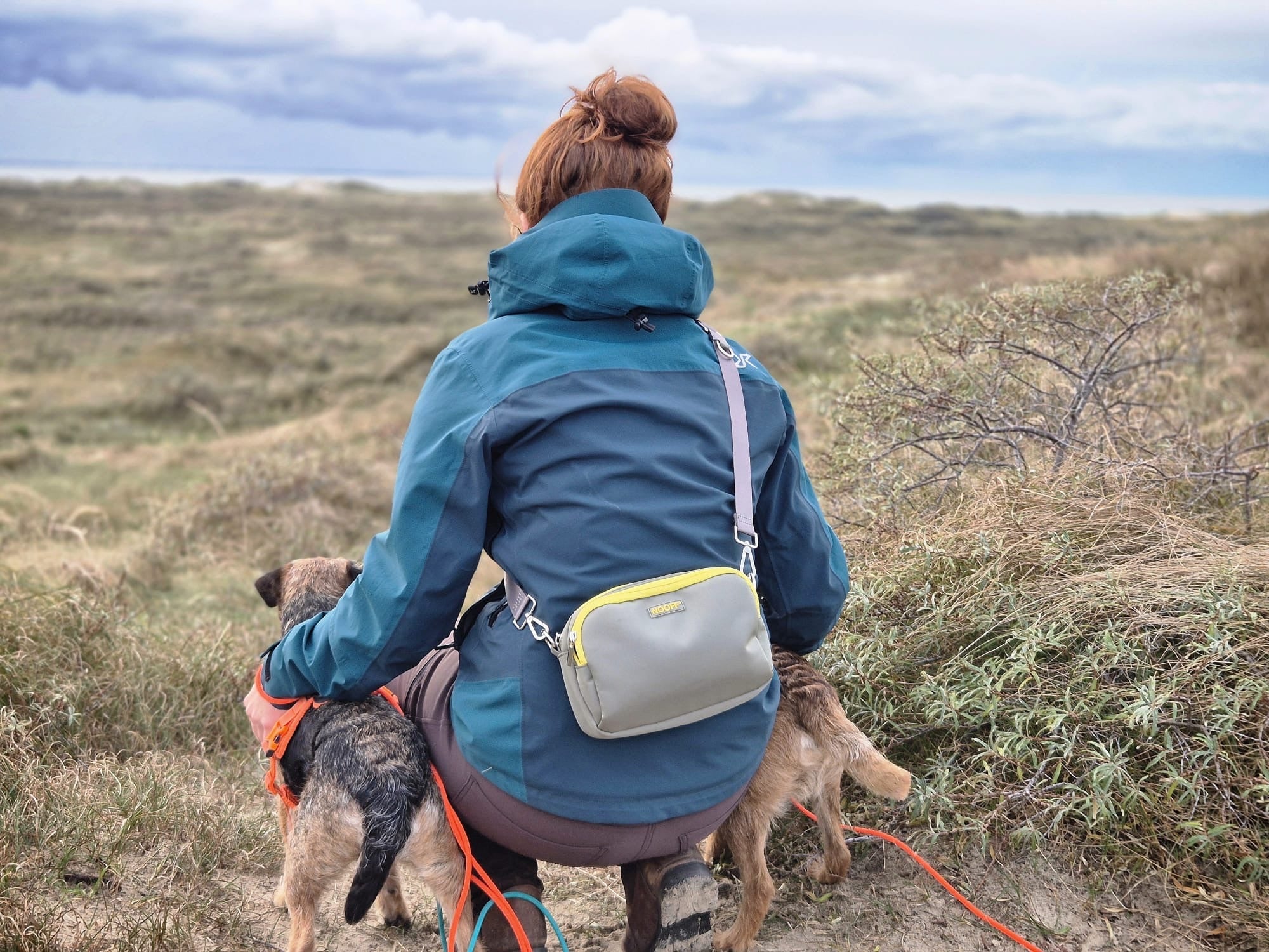 Belohnungstasche für Hunde | Grau und Gelb