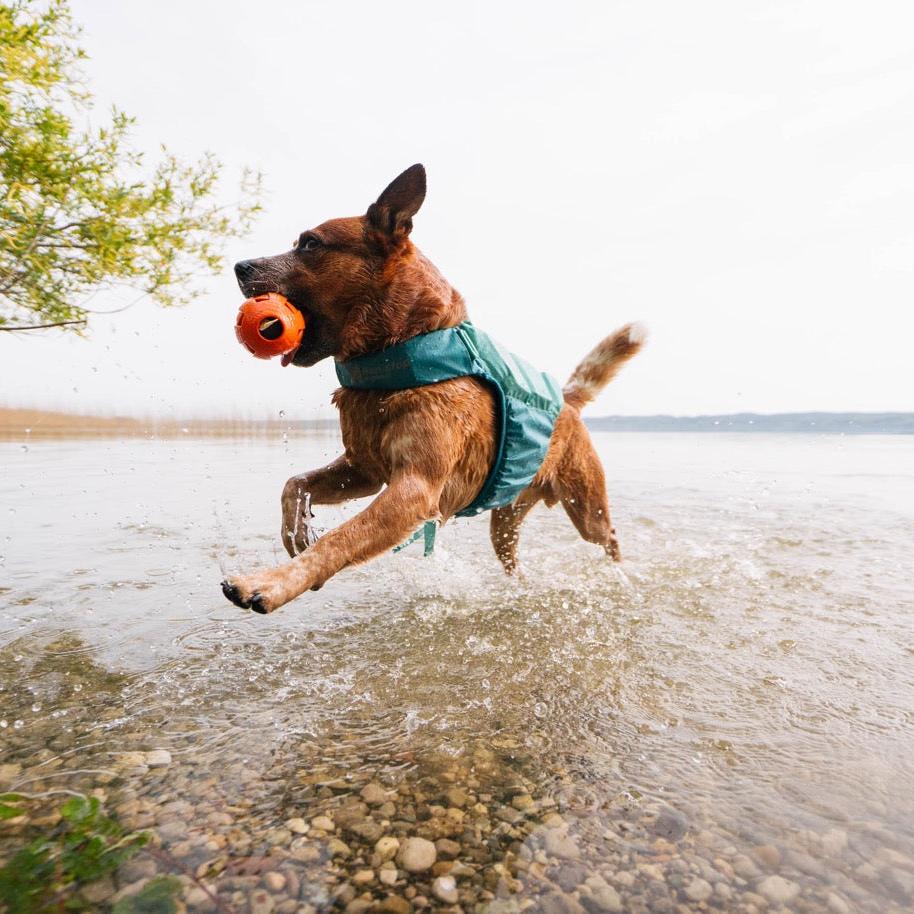 Schwimmweste Hund | Protektor-Rettungsweste, Blaugrün