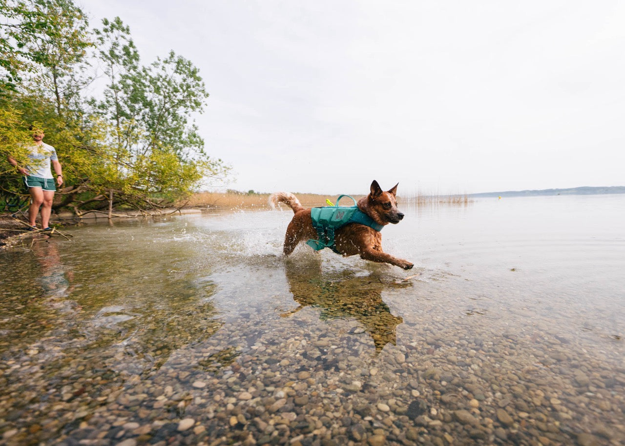 Schwimmweste Hund | Protektor-Rettungsweste, Blaugrün