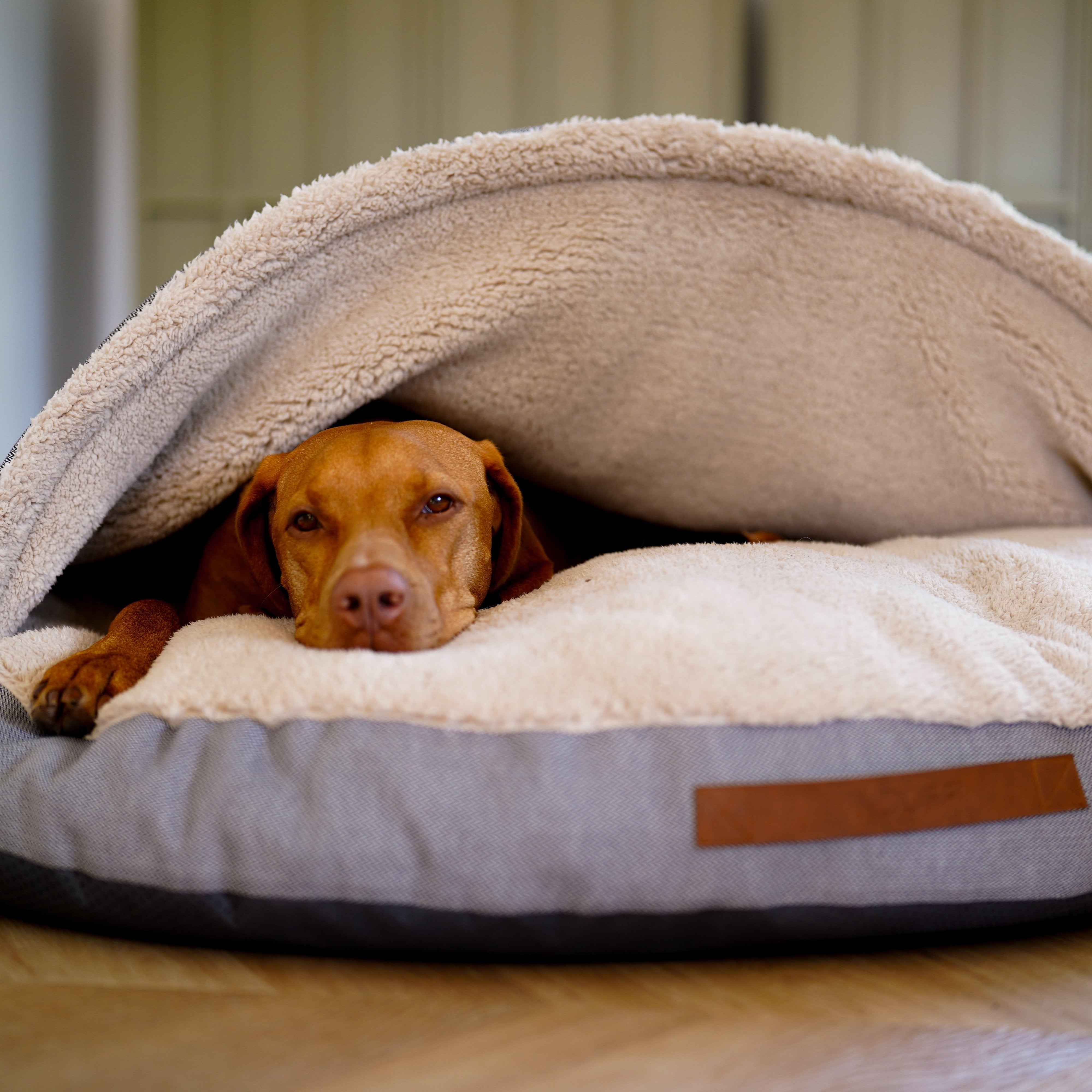 Dog Cave | Grey and Offwhite