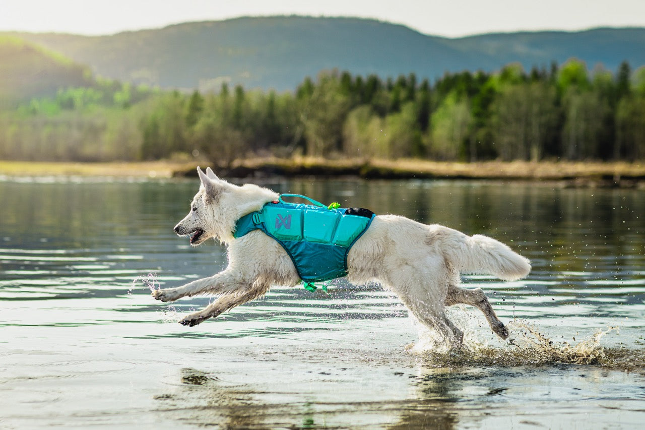 Schwimmweste Hund | Protektor-Rettungsweste, Blaugrün