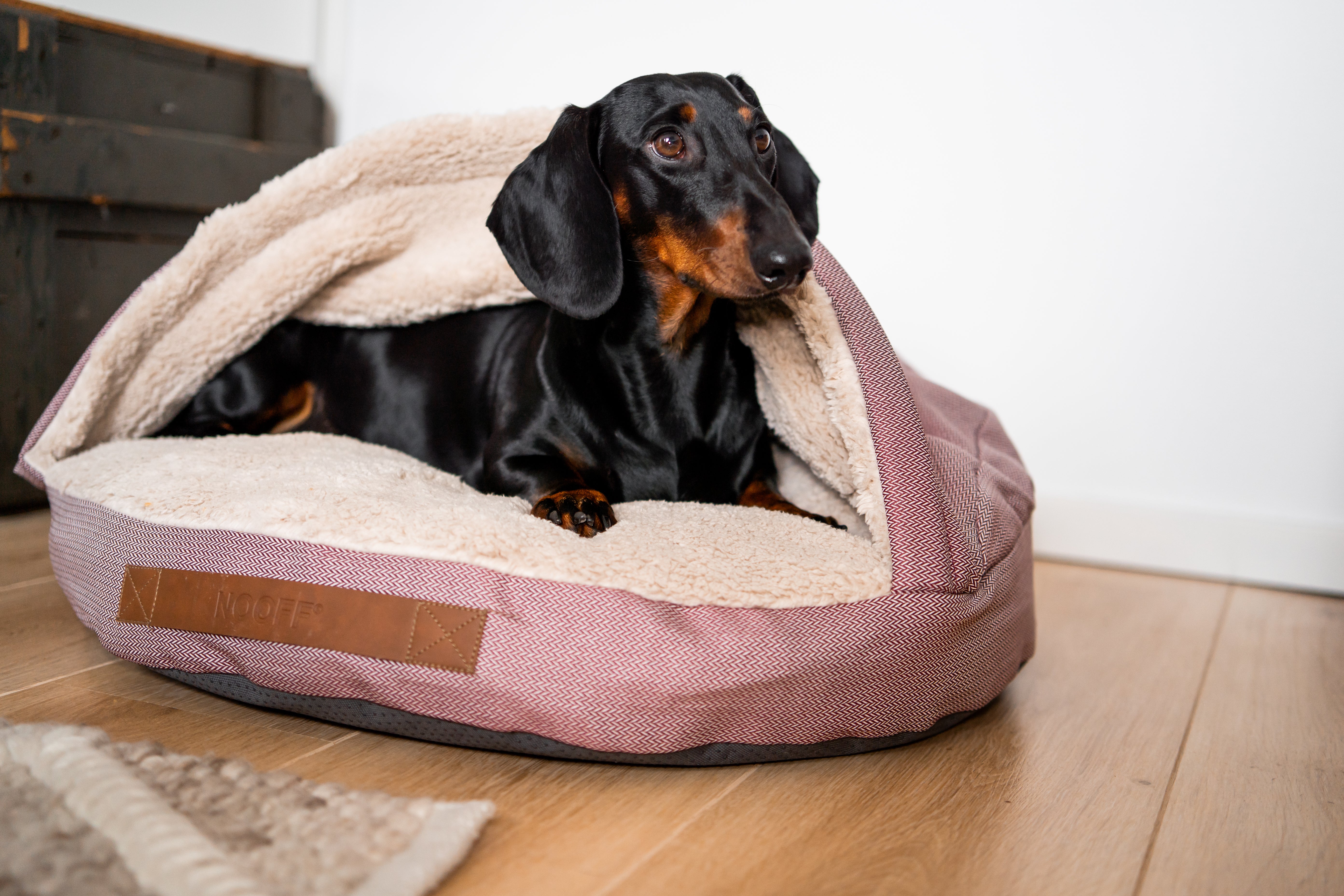 Dog Cave | Wine Red and Offwhite