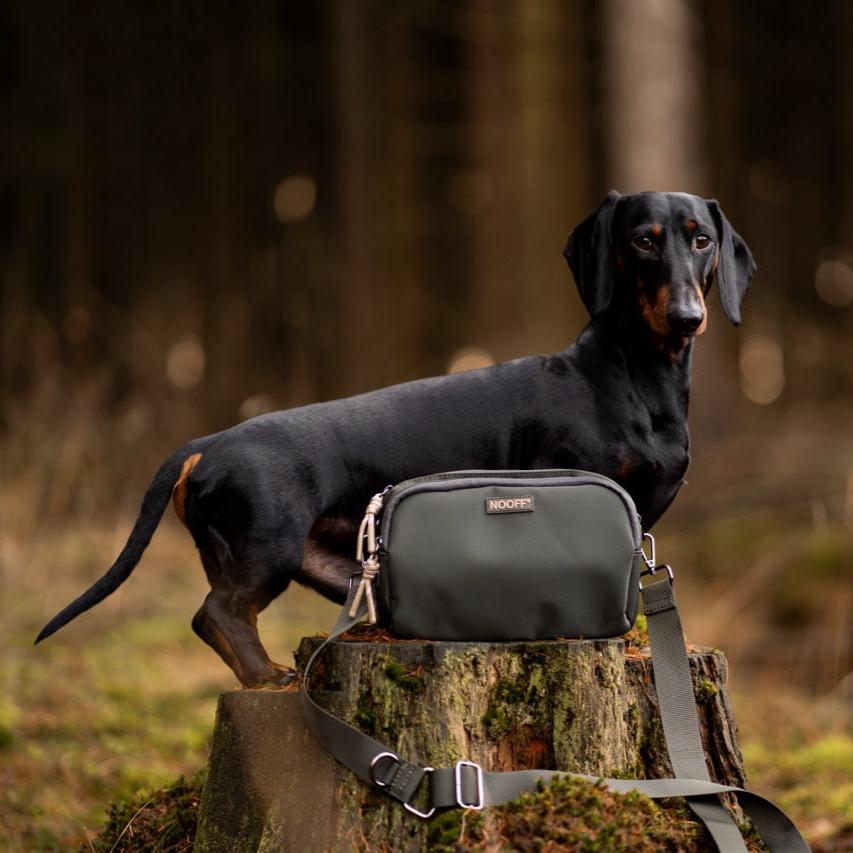 Dog Treat Bag | Olive Green