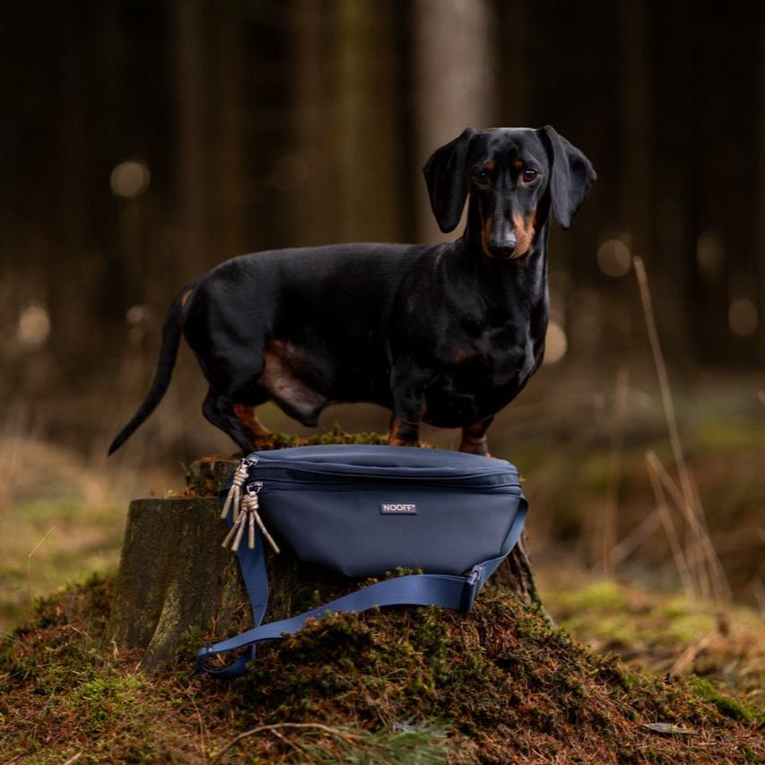 Gürteltasche für Hunde | Dunkelblau