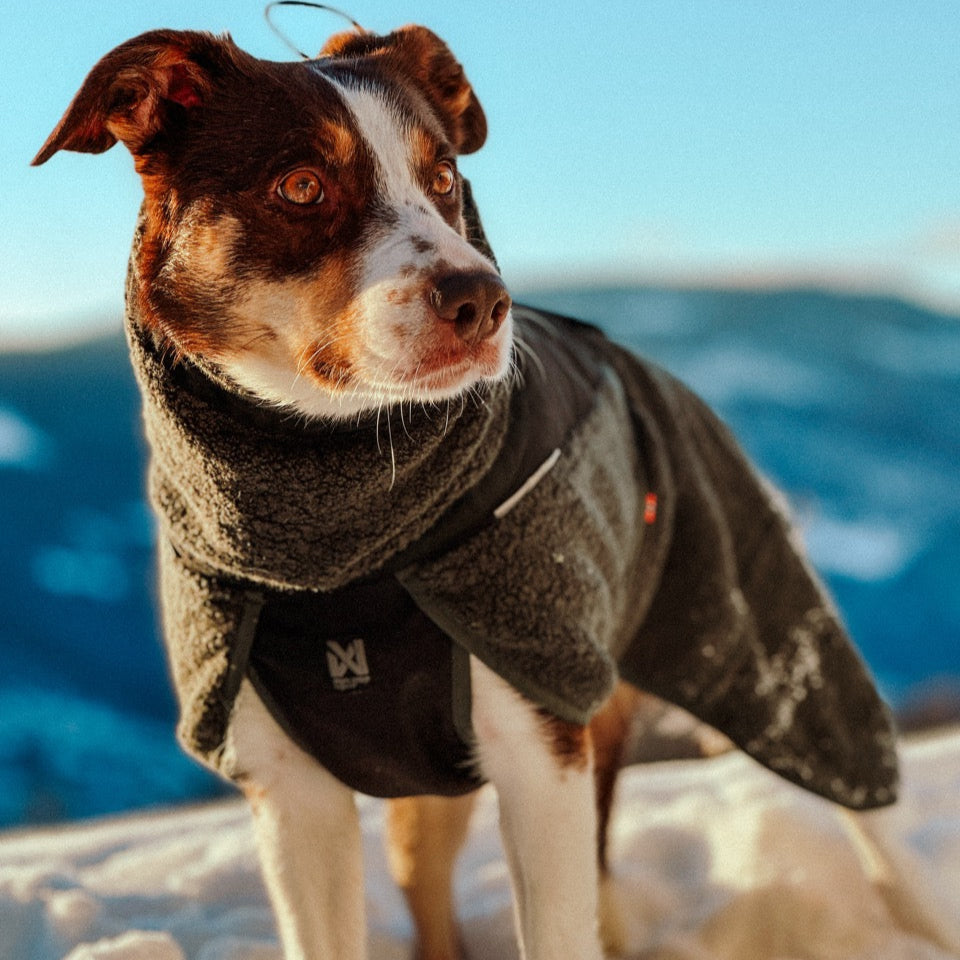 Dog Raincoat Fjord | Green/Grey