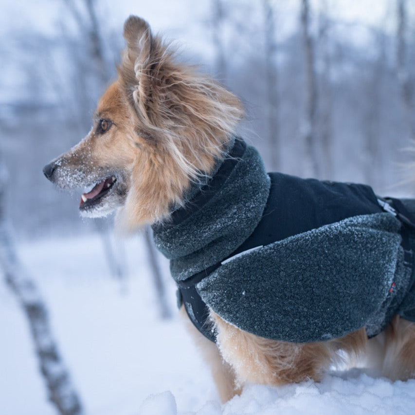 Dog Raincoat Fjord | Green/Grey