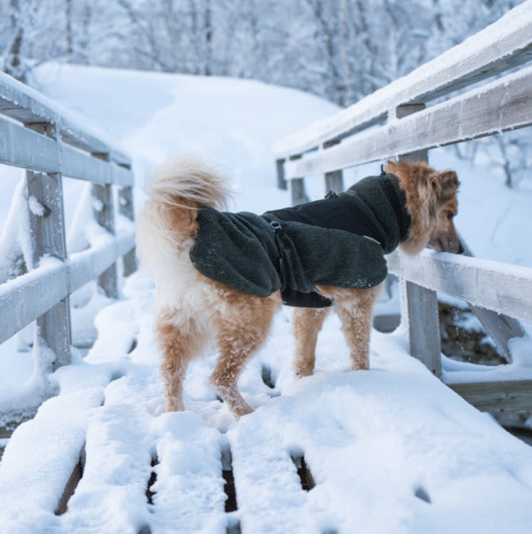 Dog Raincoat Fjord | Green/Grey