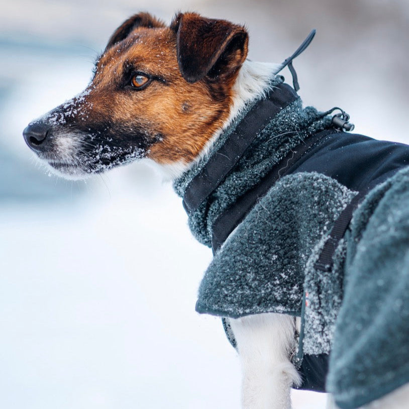 Dog Raincoat Fjord | Green/Grey