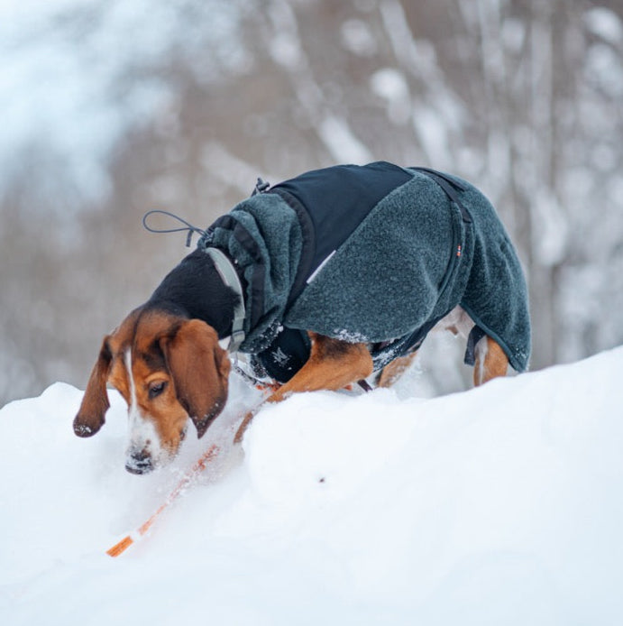 Dog Raincoat Fjord | Green/Grey