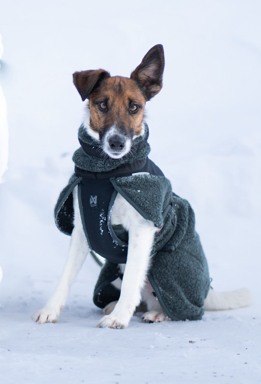 Dog Raincoat Fjord | Green/Grey