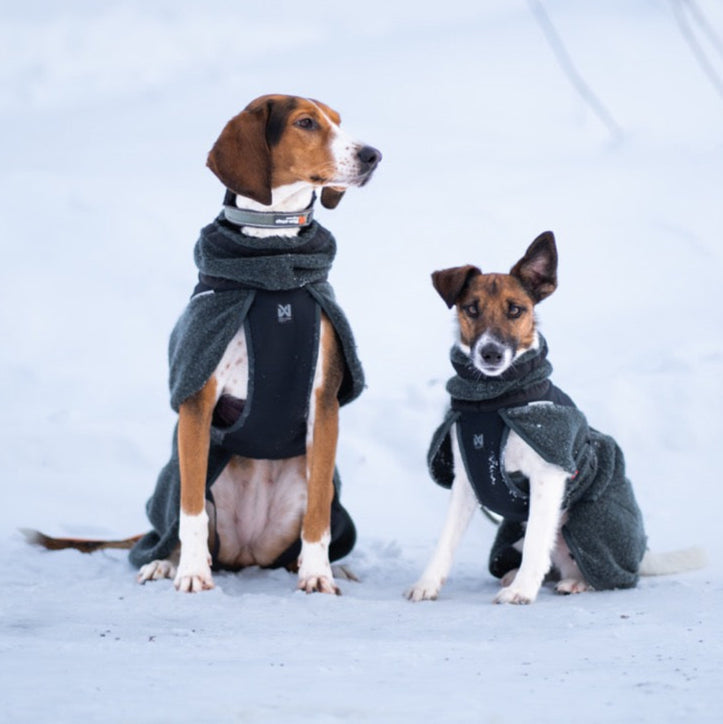 Hundepullover aus Wolle | Grün/Schwarz