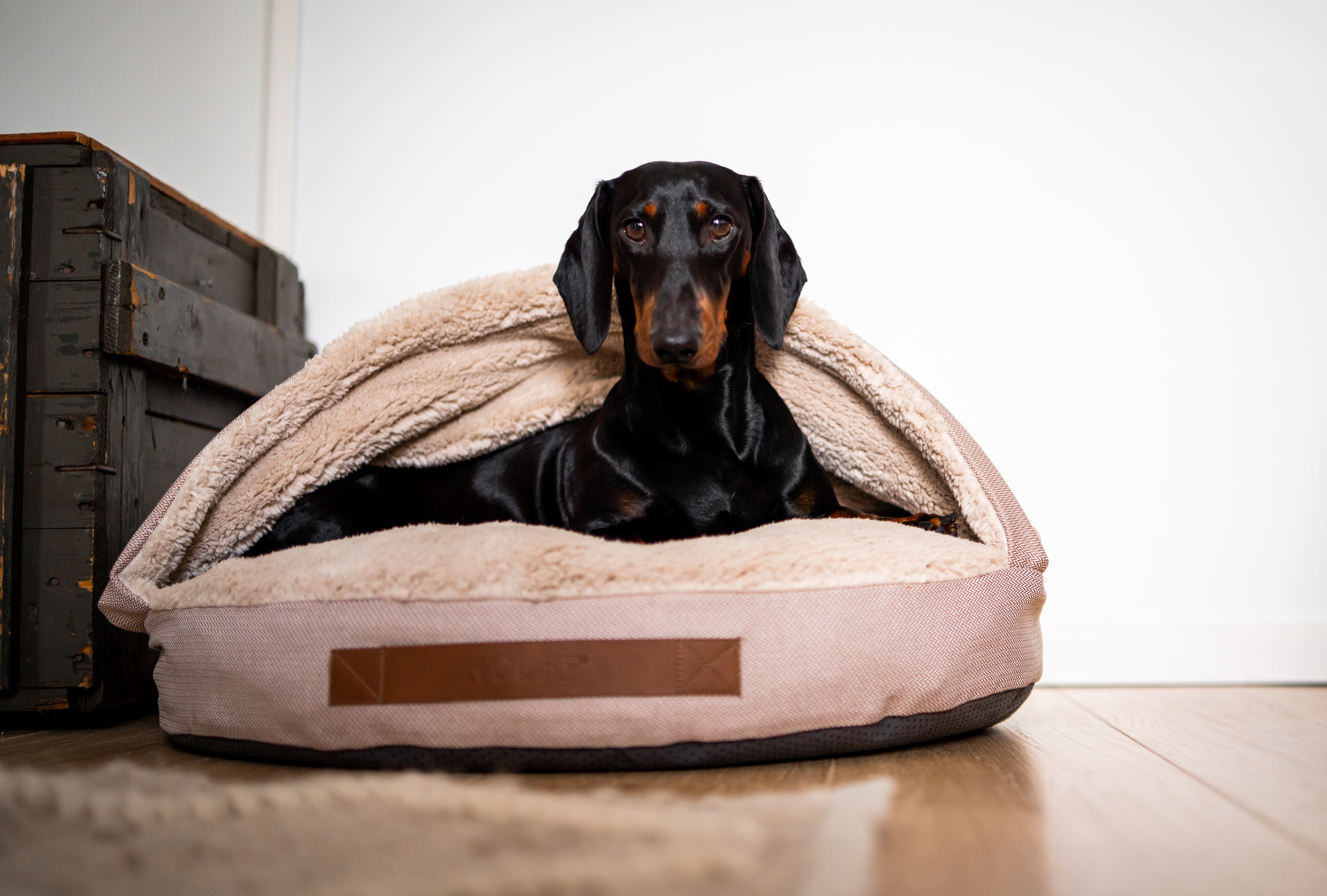 Dog Cave | Beige and Offwhite