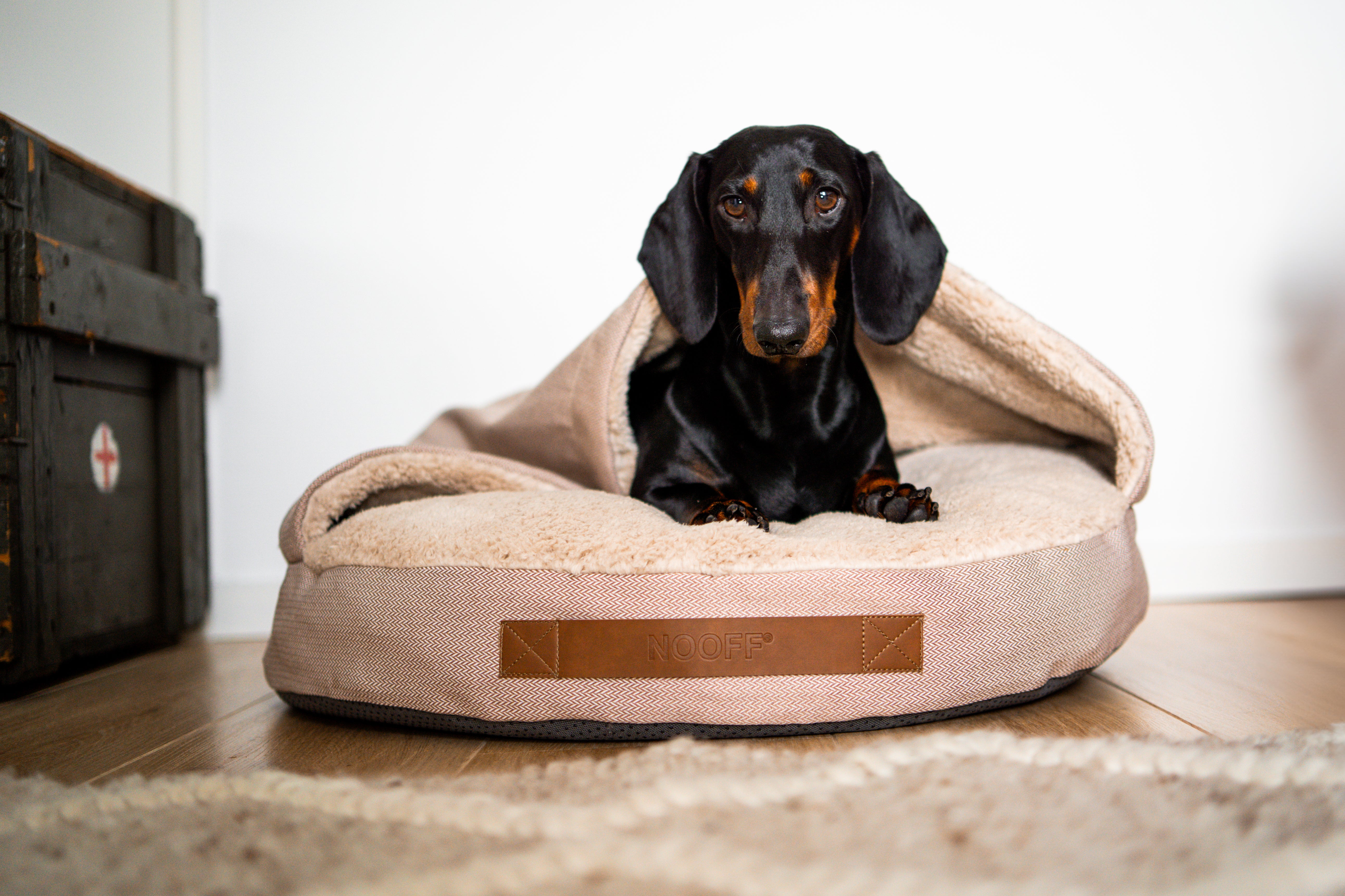 Hundehöhle | Beige und Offwhite