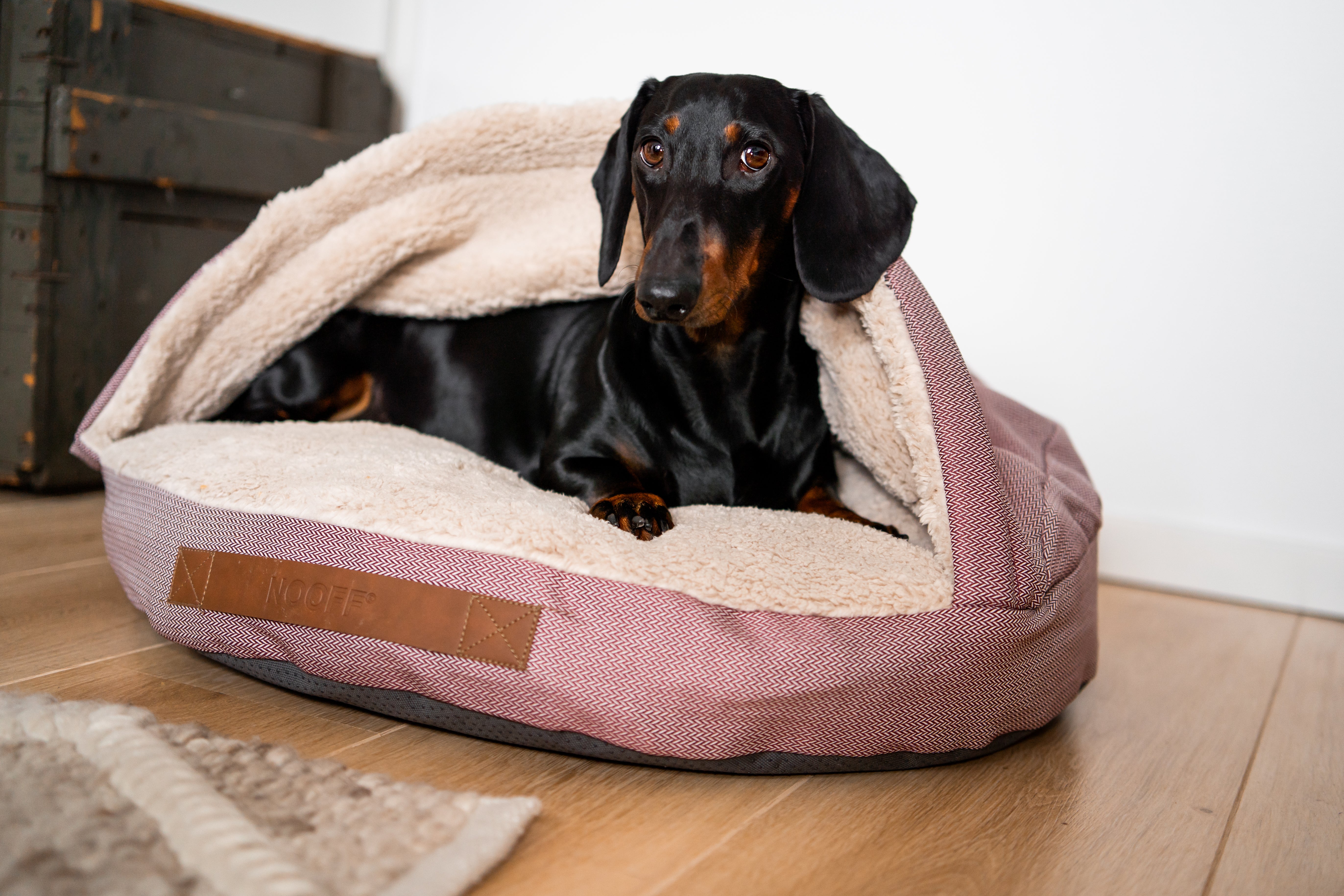 Dog Cave | Wine Red and Offwhite