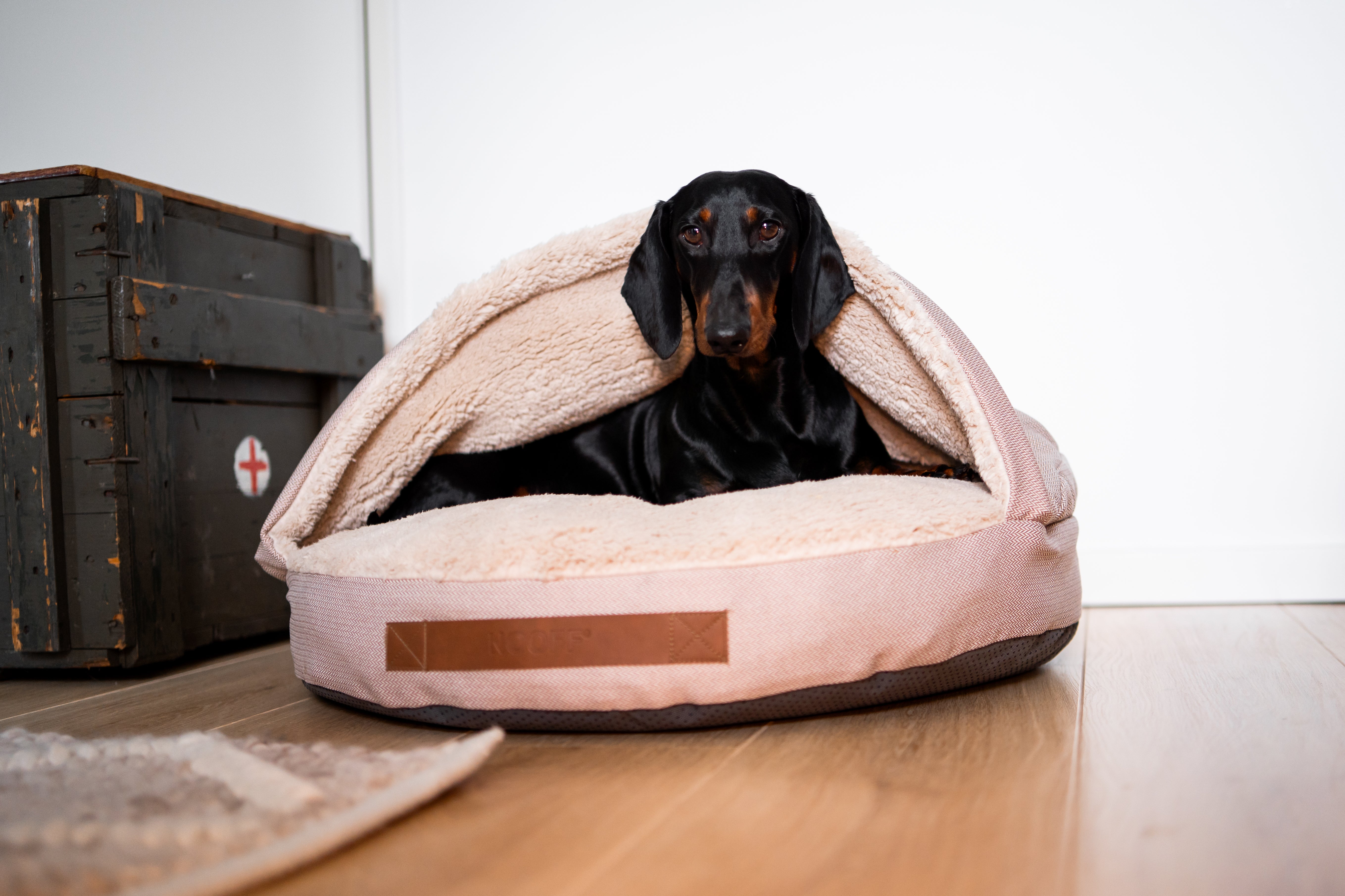 Dog Cave | Beige and Offwhite