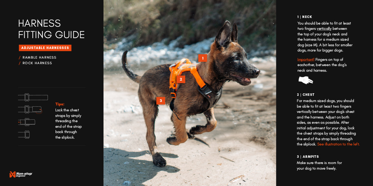 Geschirr Ramble Non-Stop Dogwear | Rosa/Anthrazit 