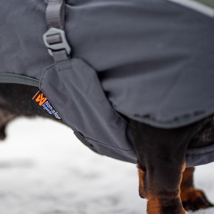 Teckel met Non-stop dogwear hondenwinterjas Glacier 2.0 Wol Groen/grijs