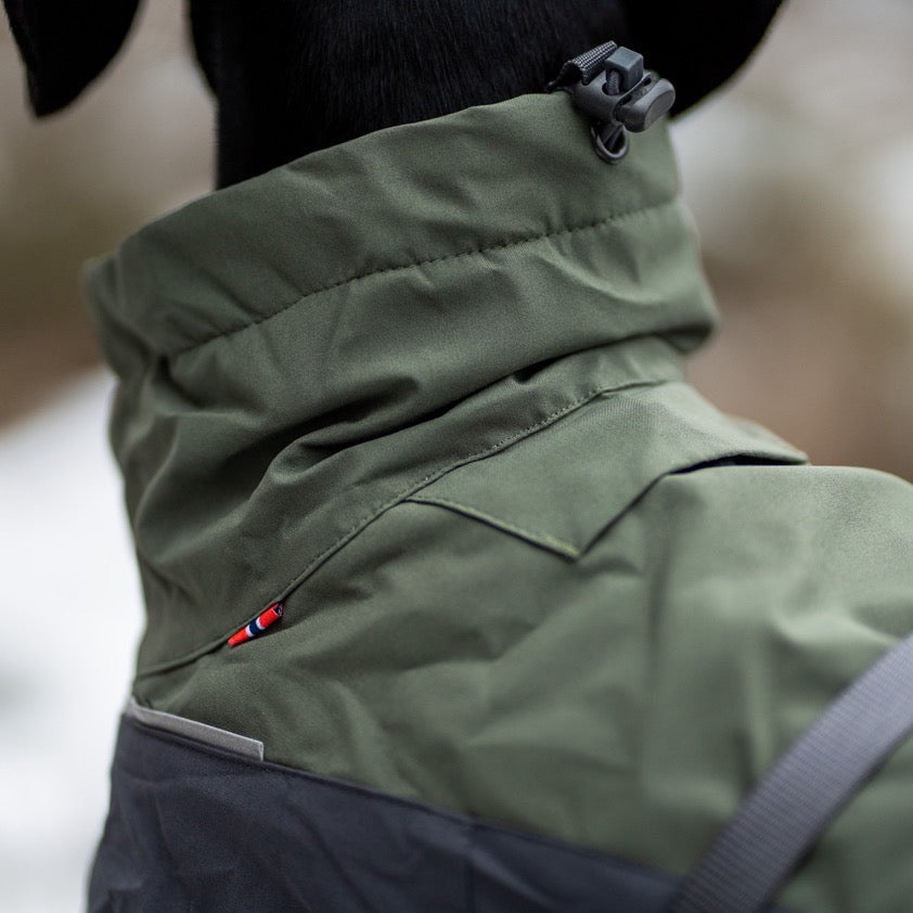 Teckel met Non-stop dogwear hondenwinterjas Glacier 2.0 Wol Groen/grijs