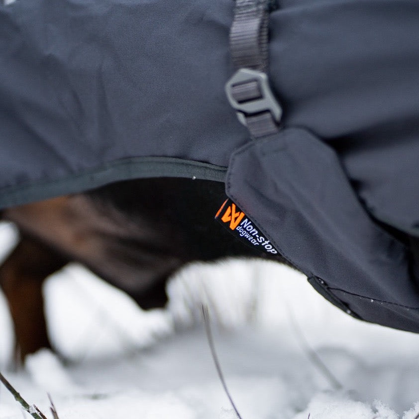 Teckel met Non-stop dogwear hondenwinterjas Glacier 2.0 Wol Groen/grijs