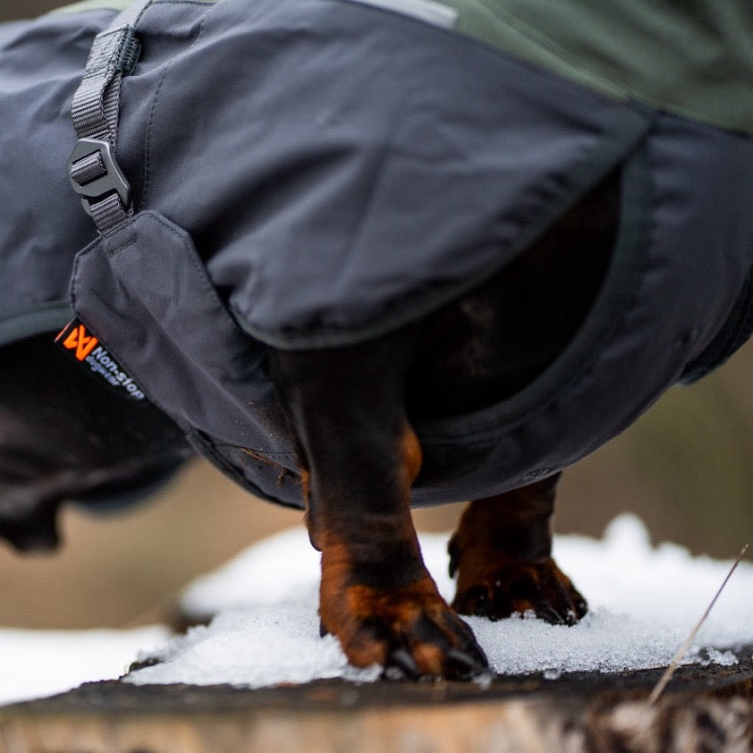 Teckel met Non-stop dogwear hondenwinterjas Glacier 2.0 Wol Groen/grijs