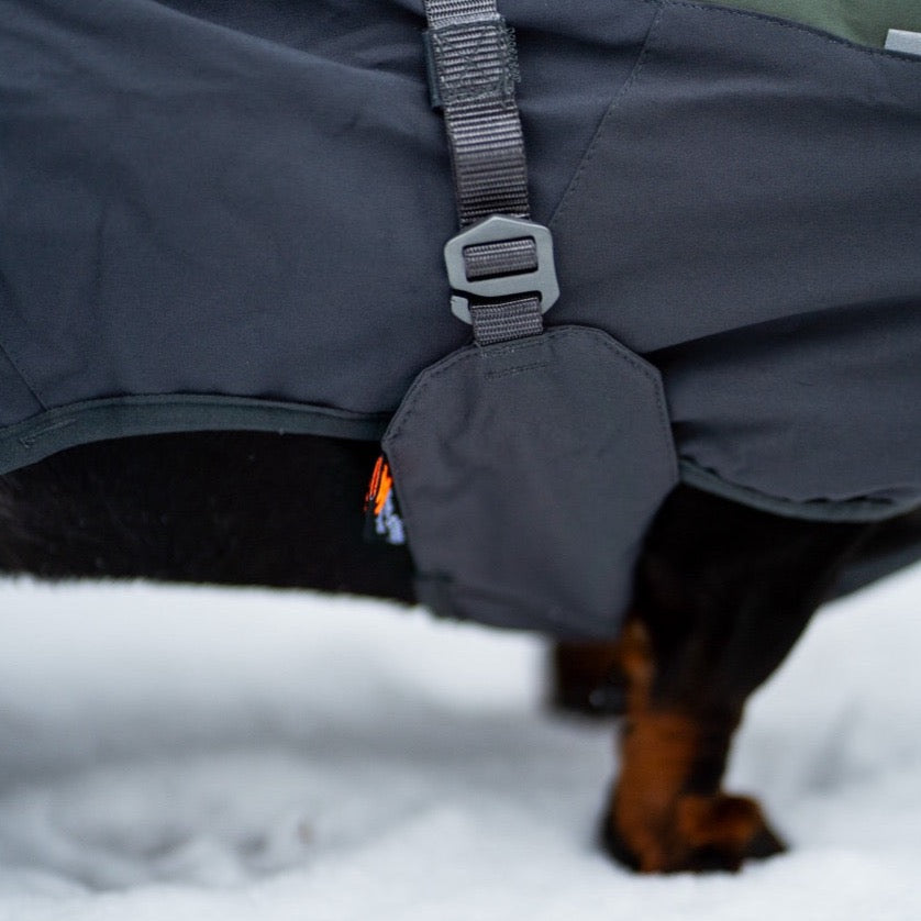 Teckel met Non-stop dogwear hondenwinterjas Glacier 2.0 Wol Groen/grijs