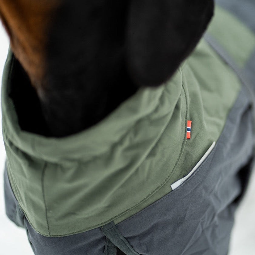 Teckel met Non-stop dogwear hondenwinterjas Glacier 2.0 Wol Groen/grijs