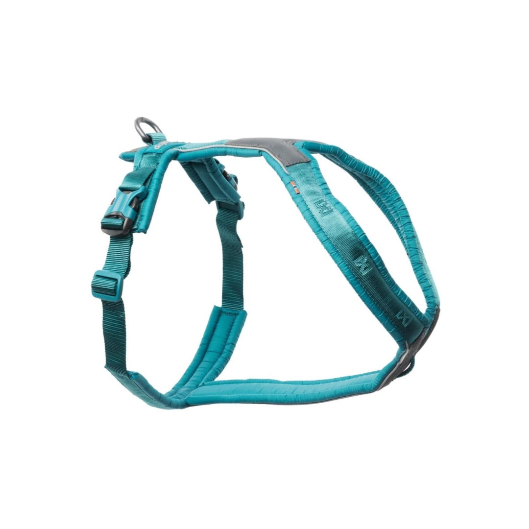 Line 5.0 tuigje hond non-stop dogwear teal