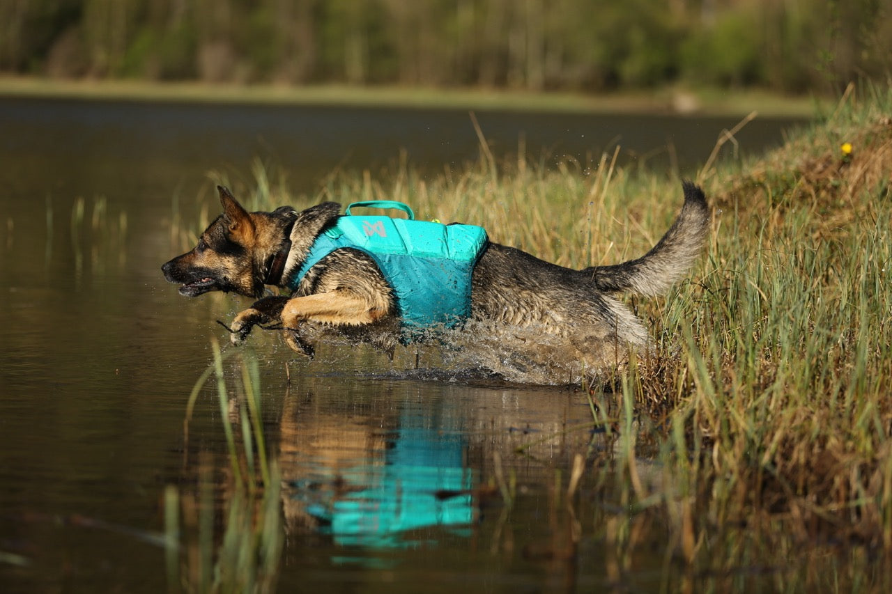 Schwimmweste Hund | Protektor-Rettungsweste, Blaugrün