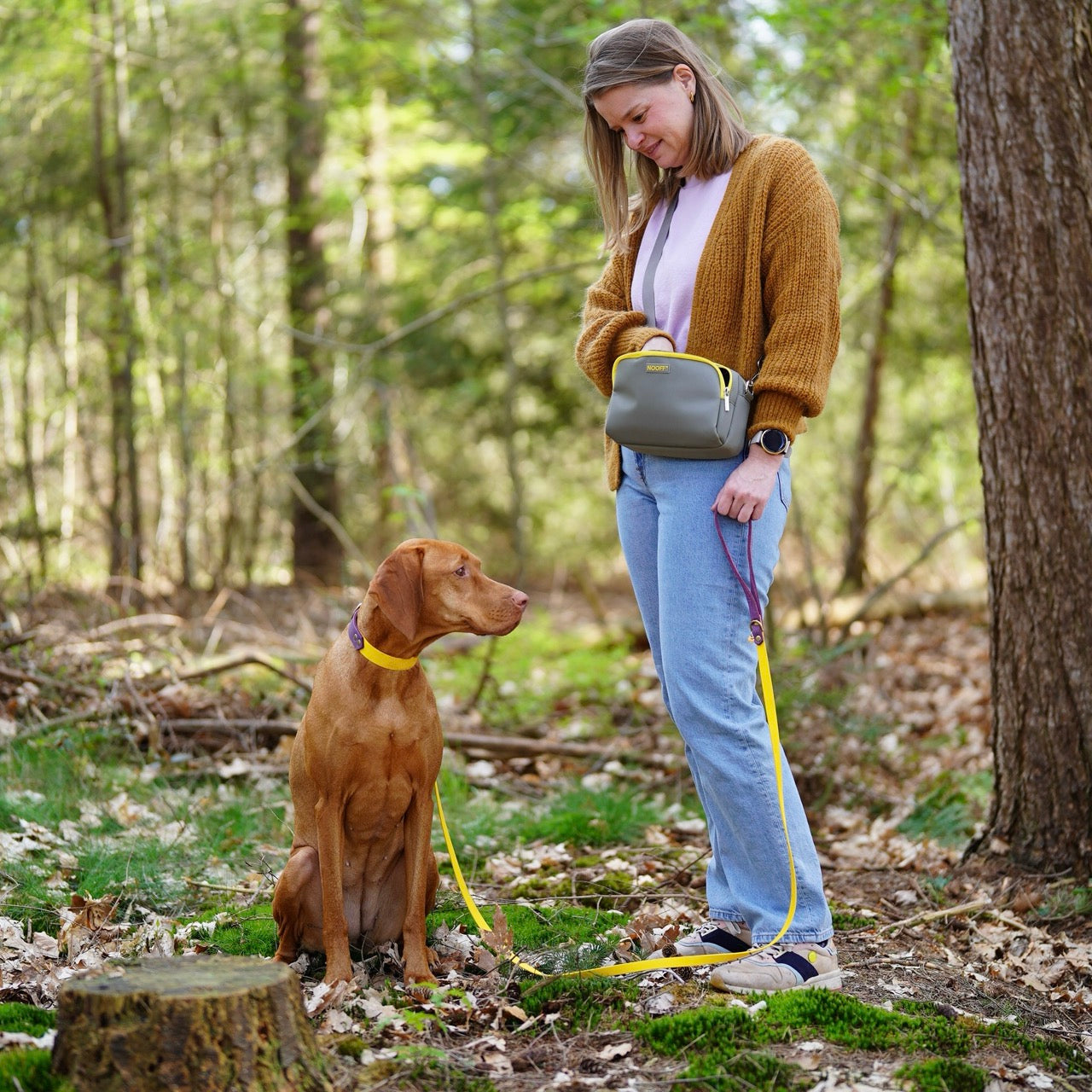 Vizsla met het ideale beloningstasje grijs en geel