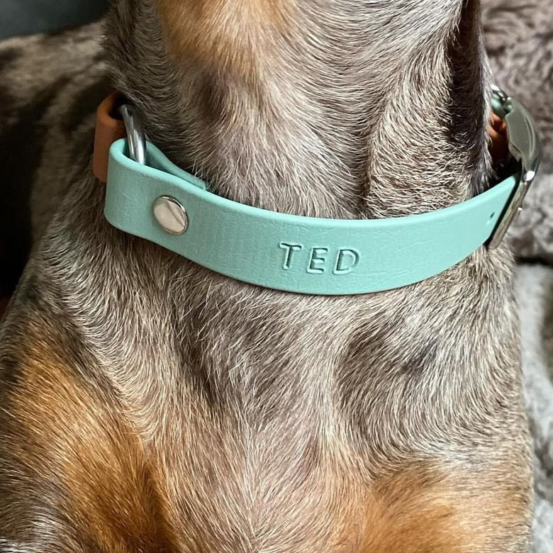 Halsband met naam hond in sage en cognac