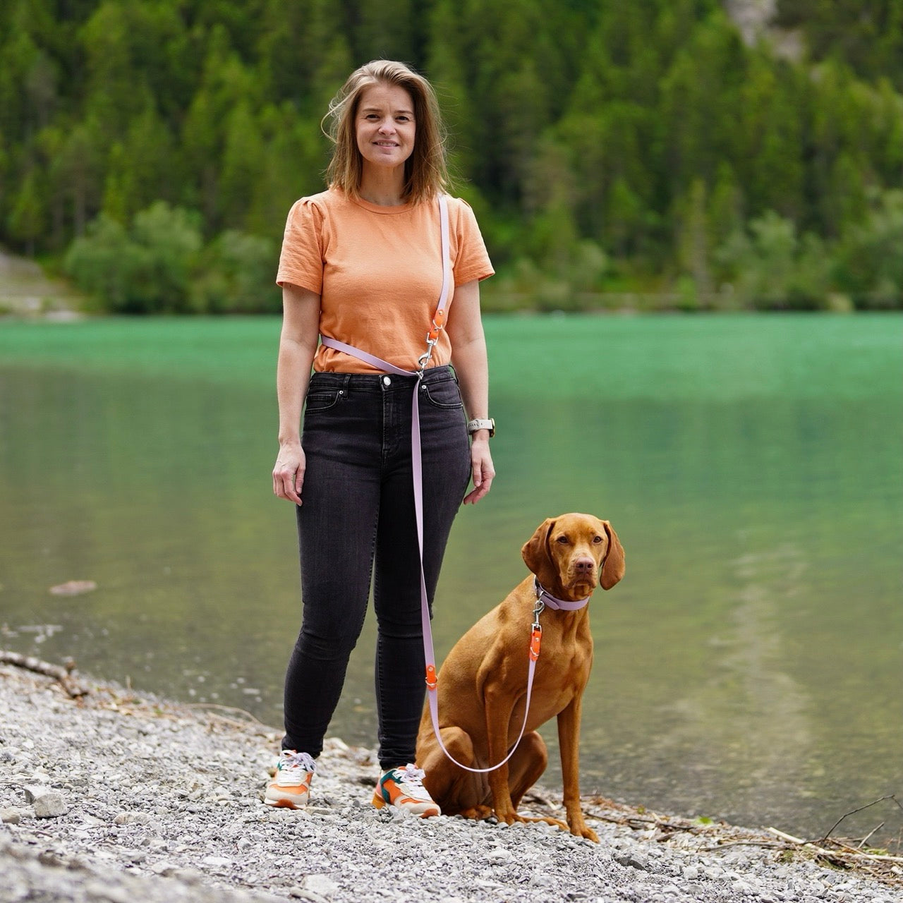 handsfree verstelbare hondenriem vizsla