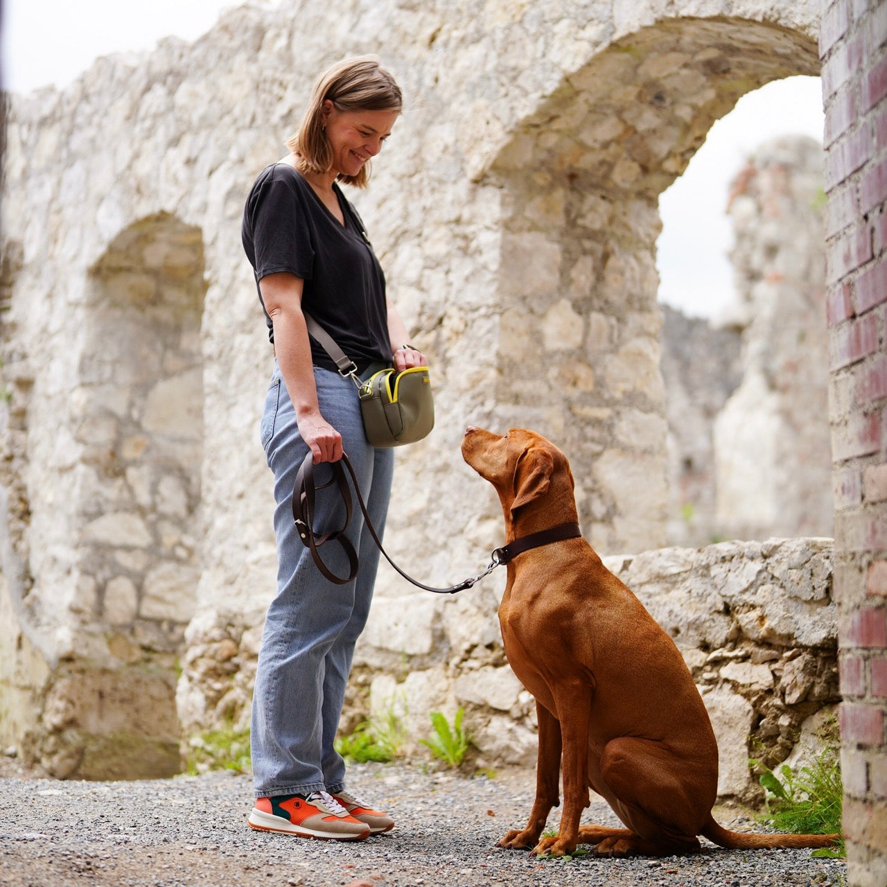 hippe hondenbeloningstasje hond grijs geel