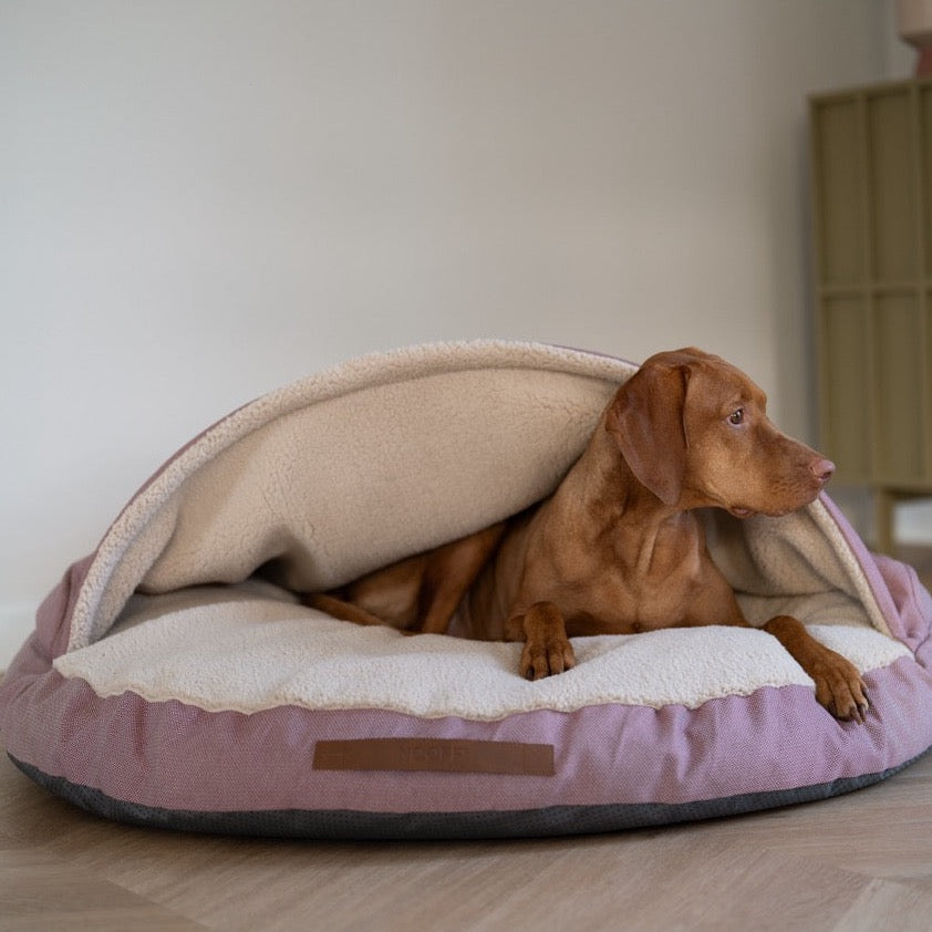 hondenmand voor vizsla cave