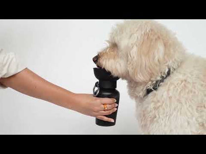 Dog drinking bottle 591ML | Springer Flip | Purple
