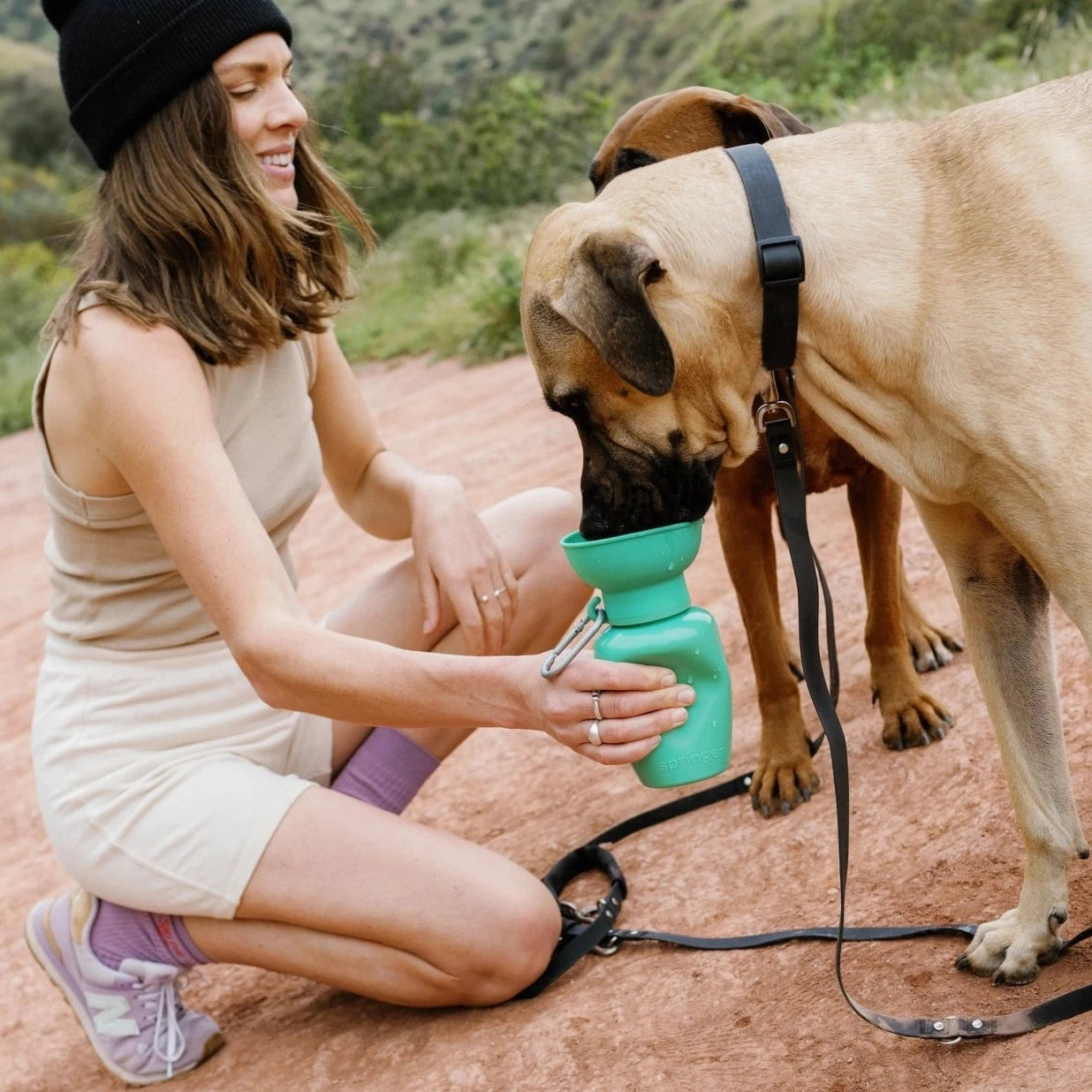 Hond drinkt uit Hondendrinkfles kleur groen Springer Flip 591ML lekdicht