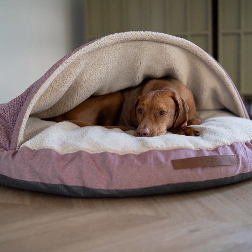 vizsla cave hond roze