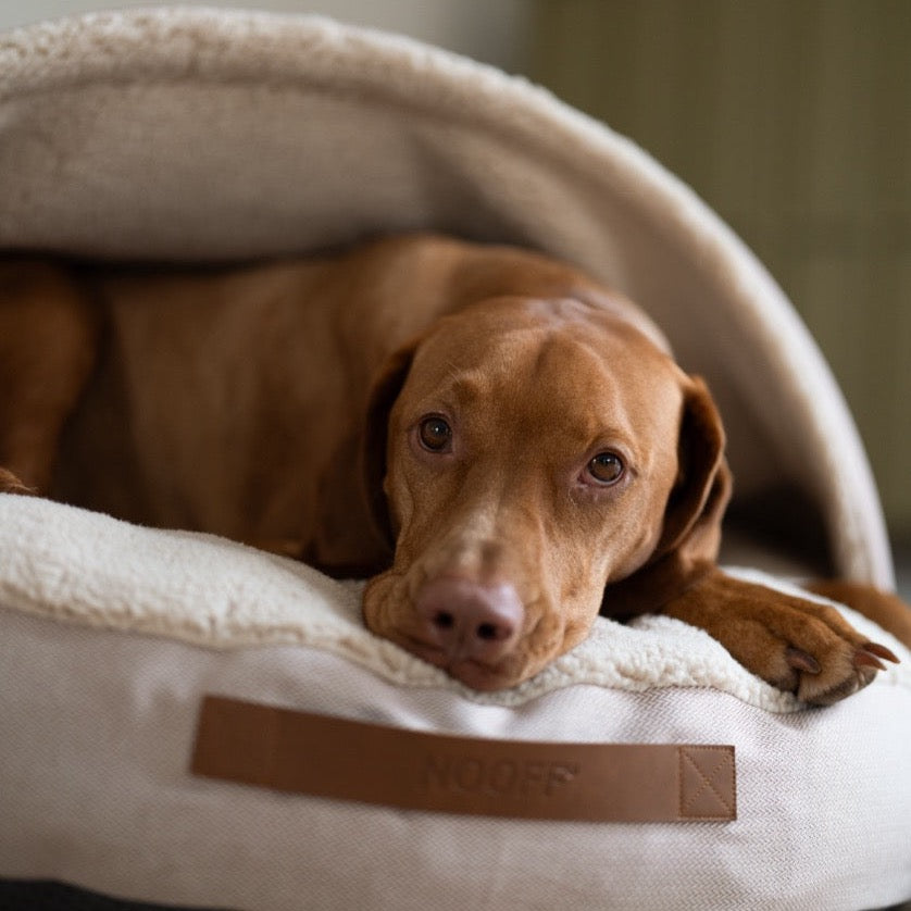 hondencave vizsla beige