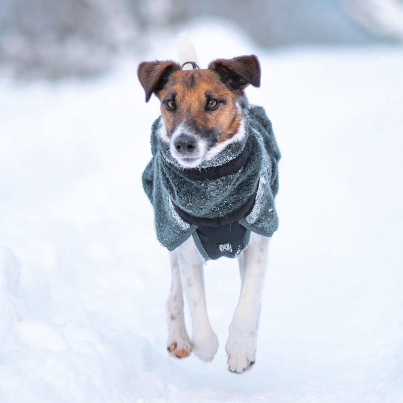 Dog Raincoat Fjord | Green/Grey