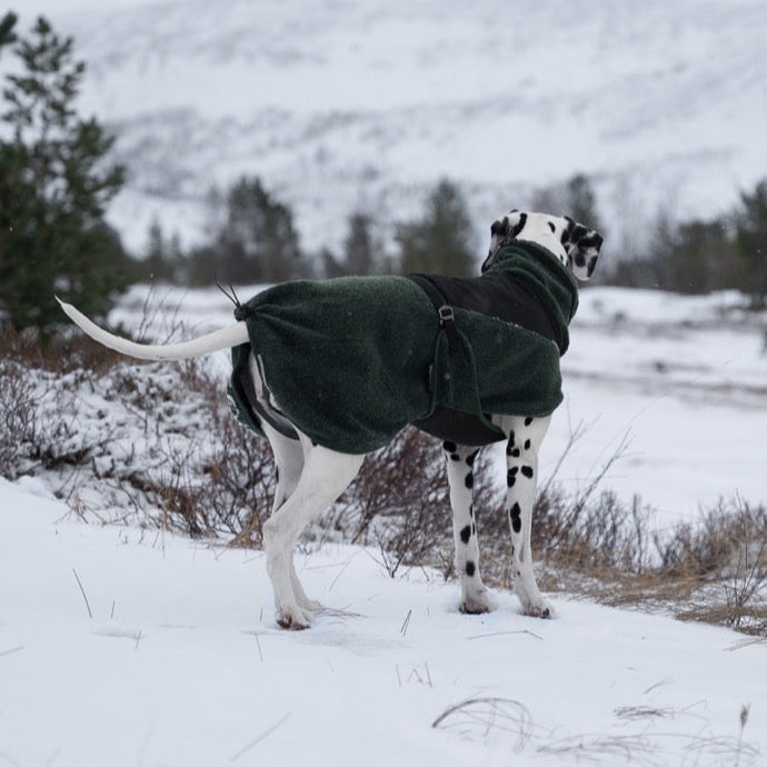 Dog Raincoat Fjord | Green/Grey